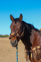 Floral Bronc Halter