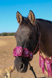 Floral Bronc Halter