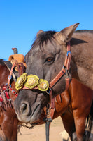 Floral Bronc Halter